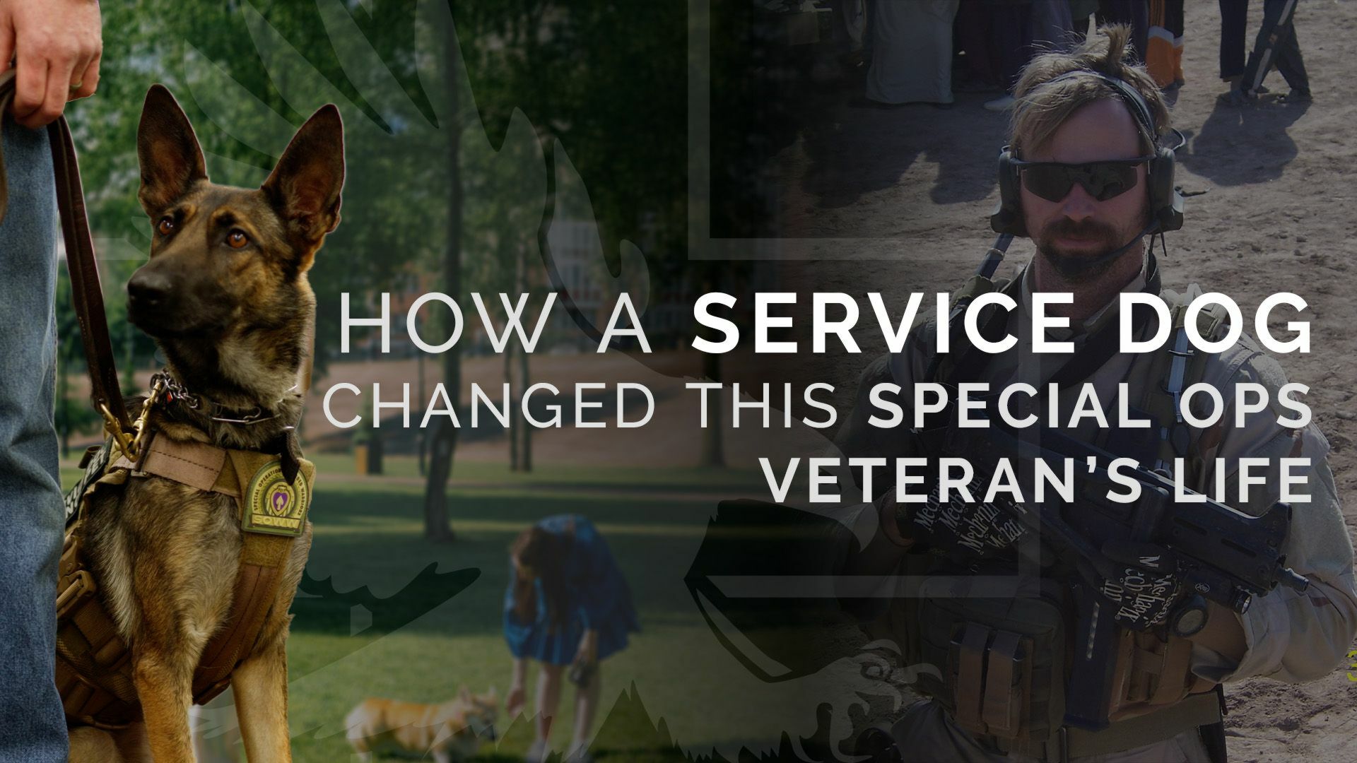 How a Service Dog Changed This Special Ops Veteran’s Life